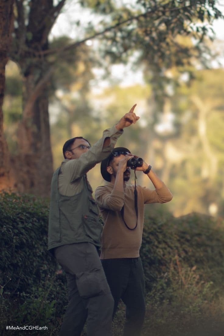 Wildlife Encounters